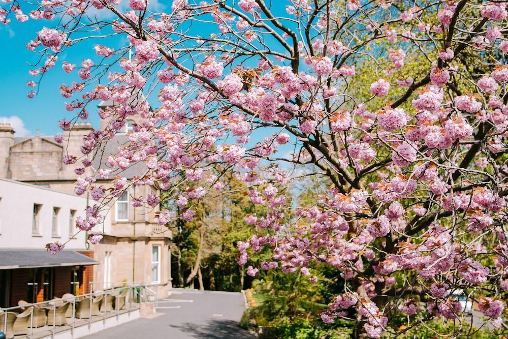 Lynnhurst Hotel 존스톤 외부 사진